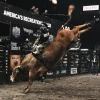 ICON - PBR - Image 8