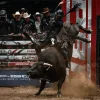 ICON - PBR - Image 5